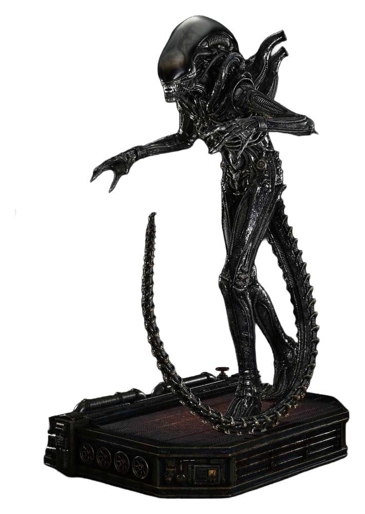 Miniatura 16
