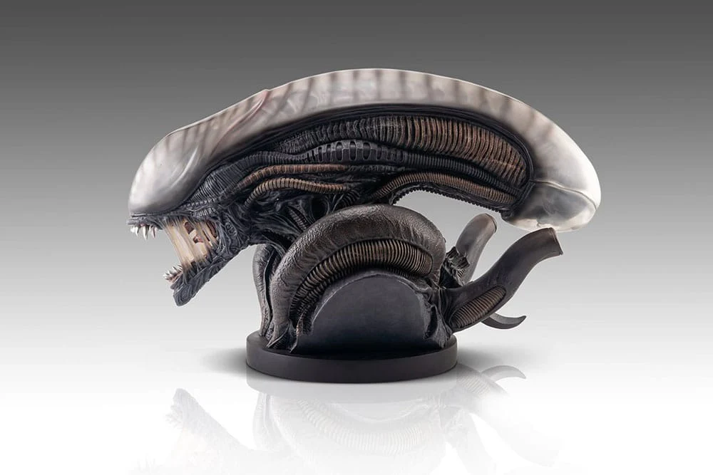 Miniatura 10