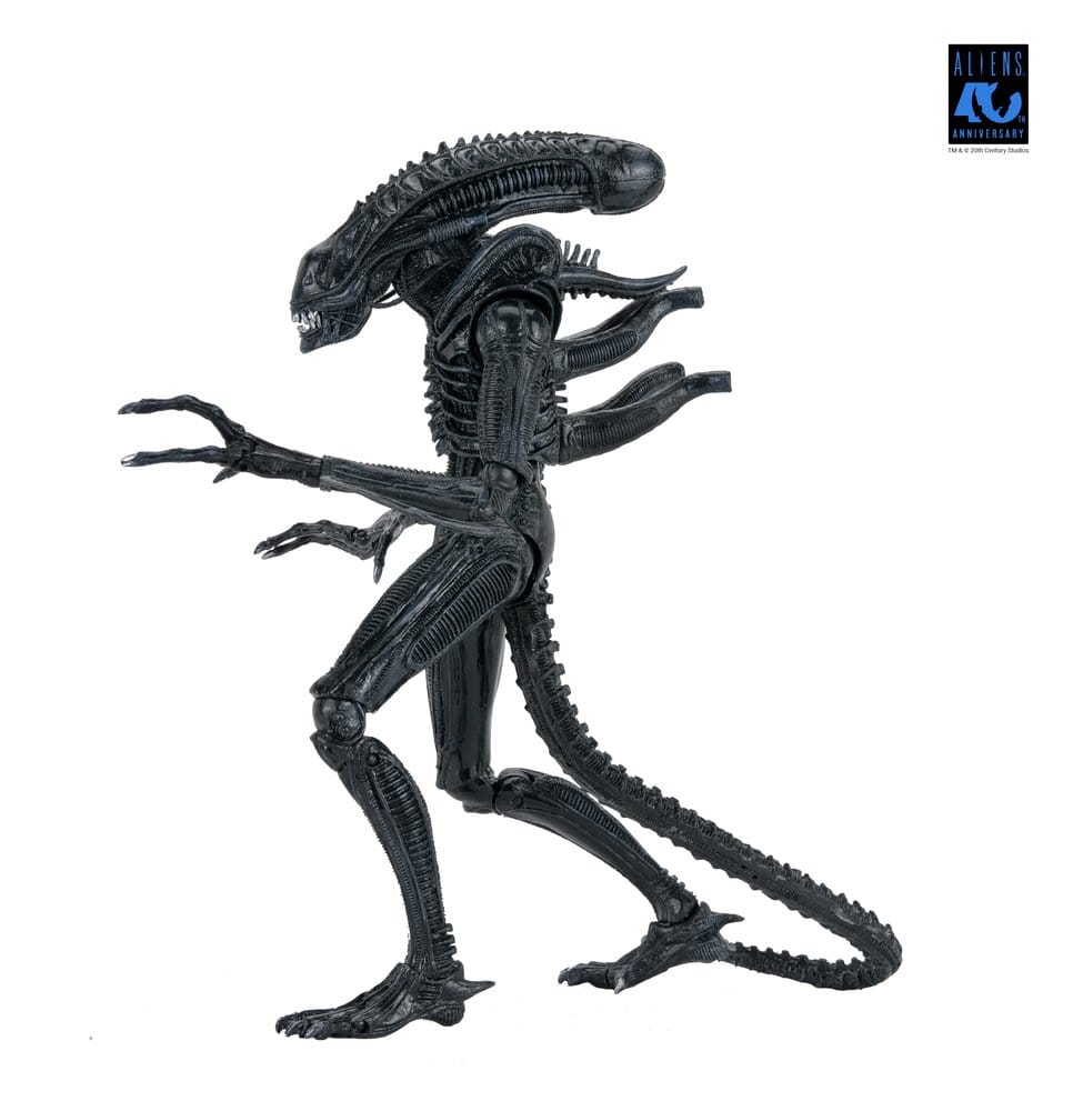 Miniatura 19