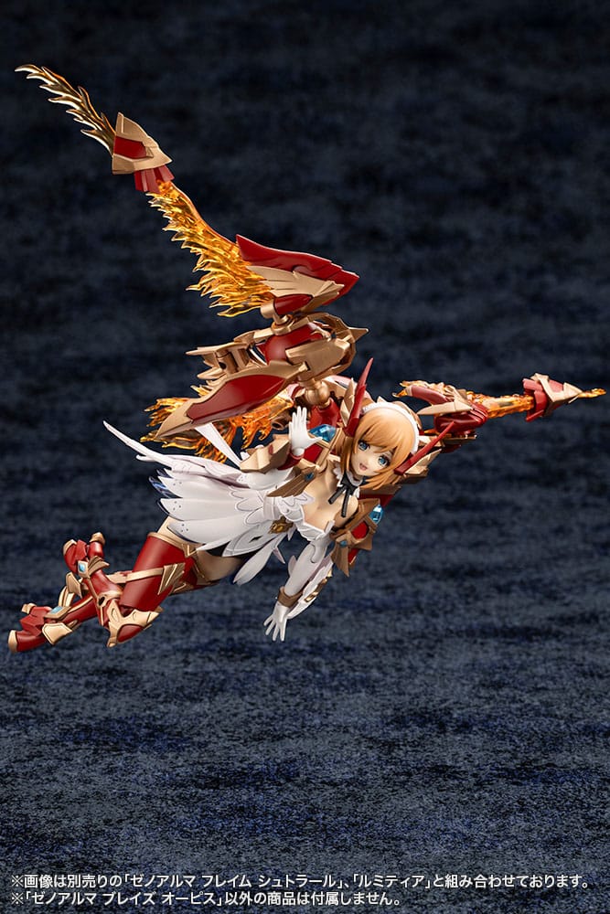 Miniatura 17
