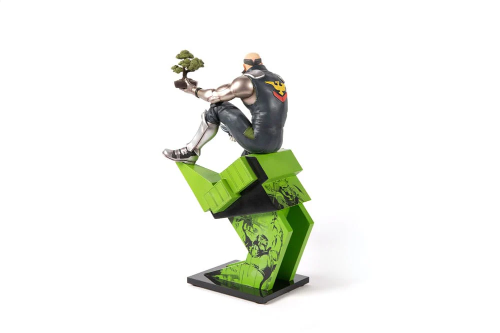 Miniatura 6