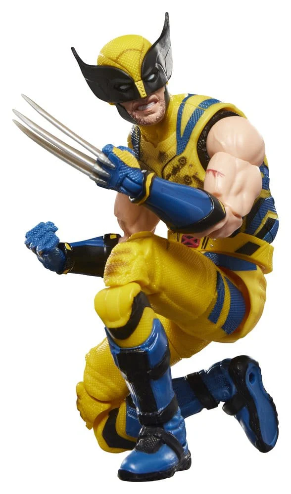 Miniatura 5