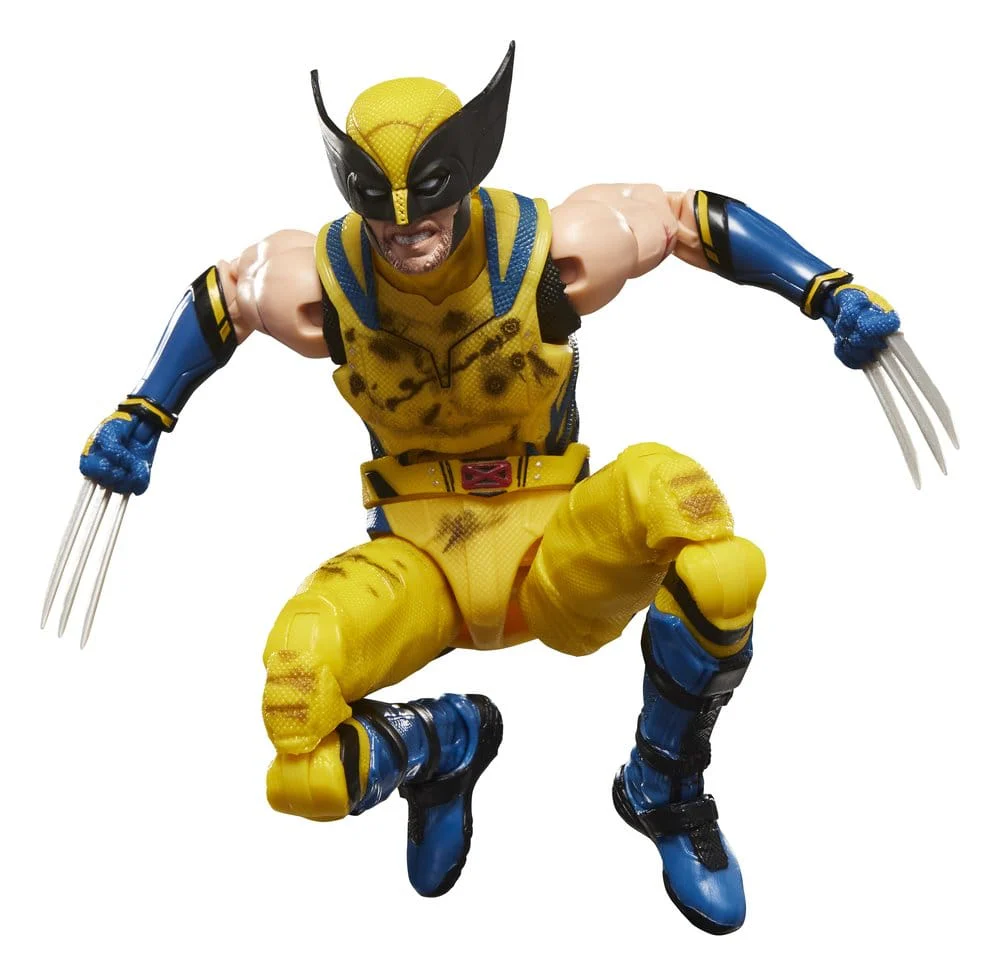 Miniatura 6