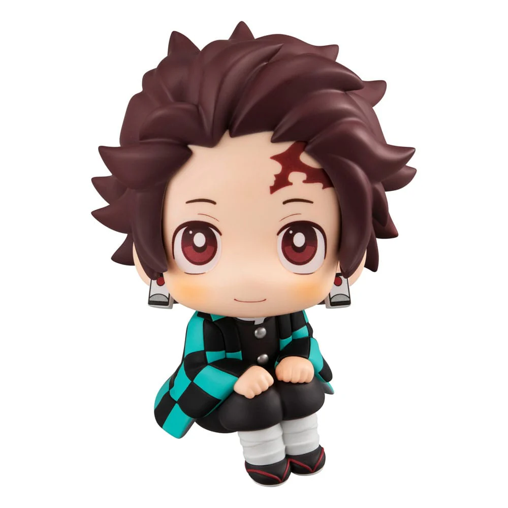 Miniatura 12