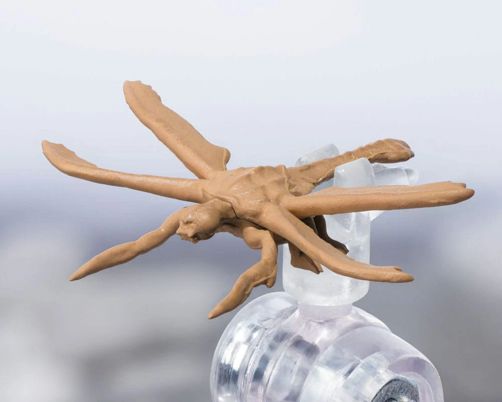 Miniatura 6
