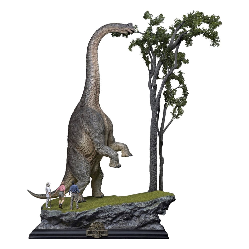 Miniatura 9