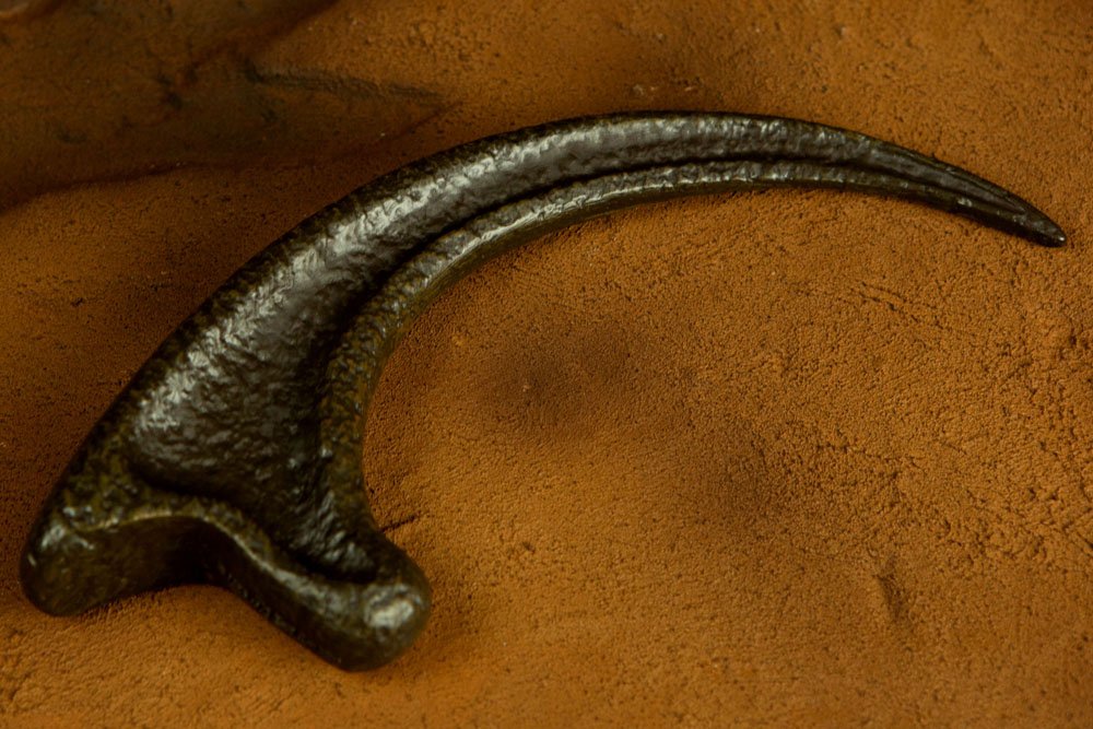 Miniatura 7