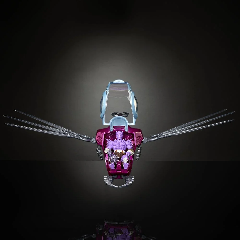 Miniatura 6