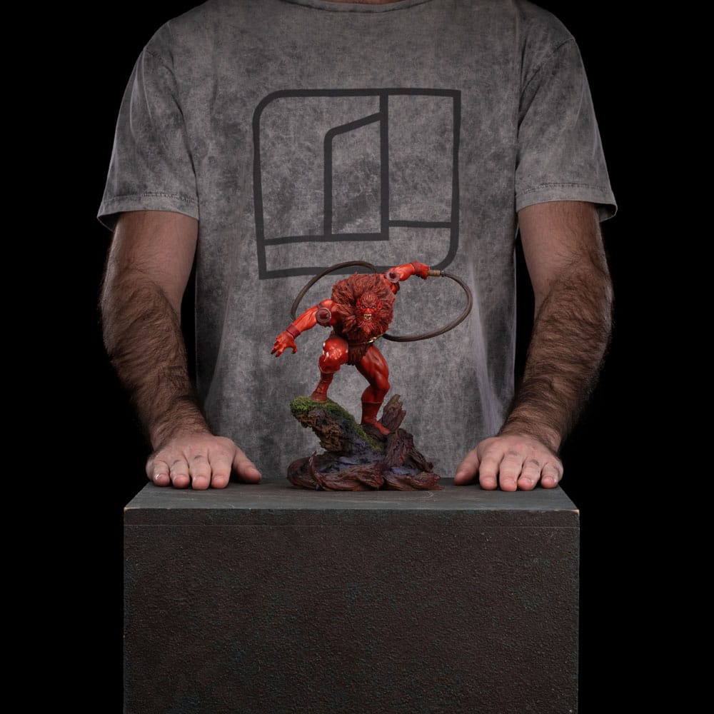 Miniatura 11