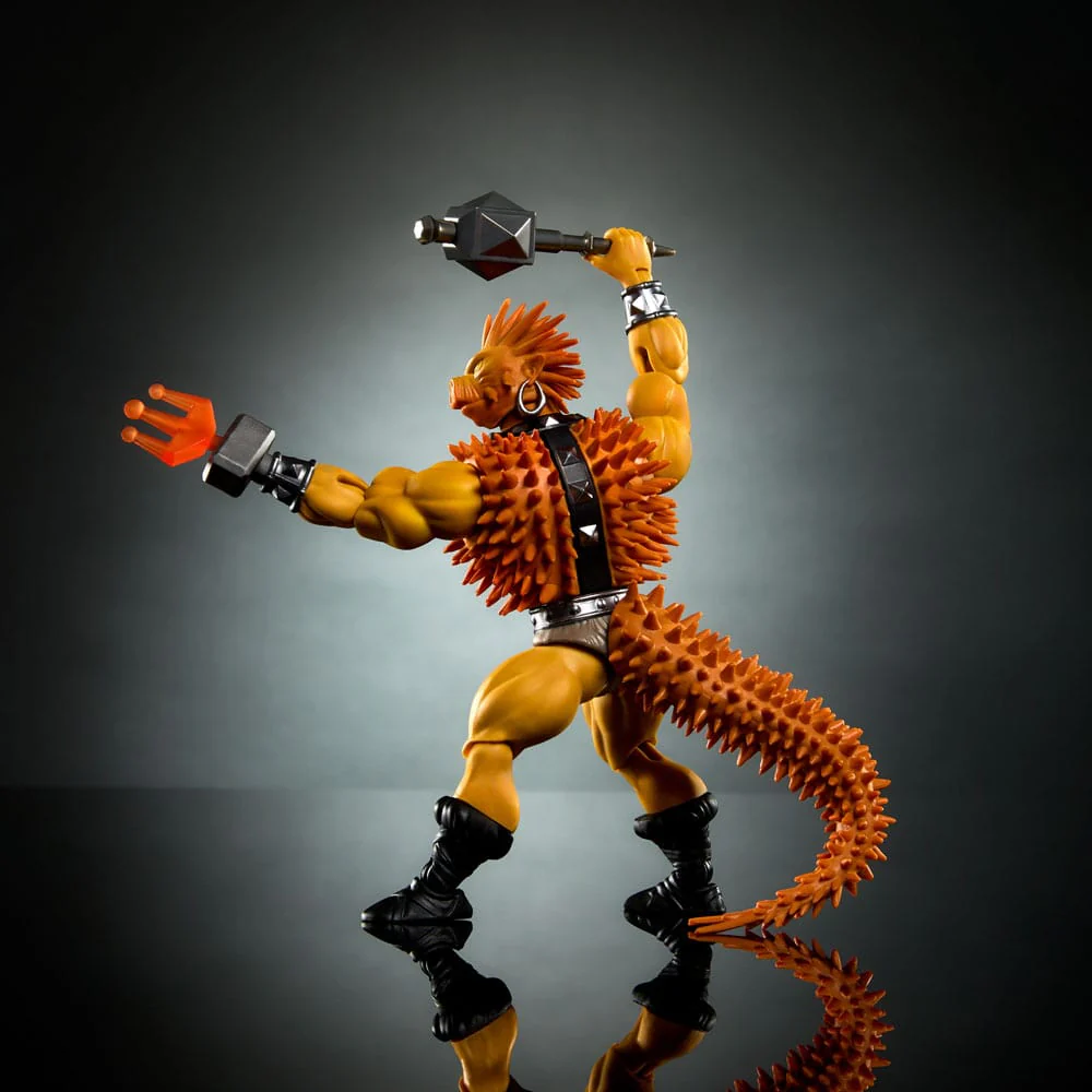 Miniatura 6