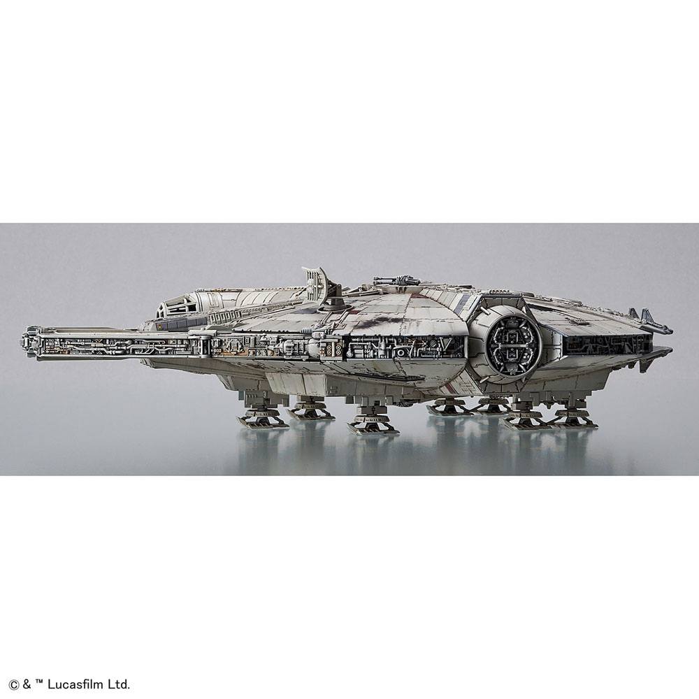 Miniatura 11