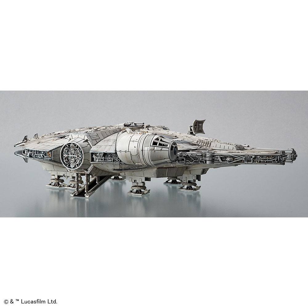 Miniatura 12