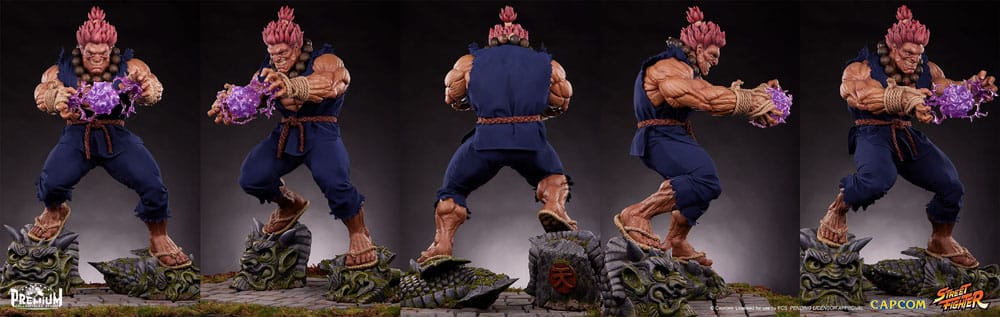 Miniatura 13
