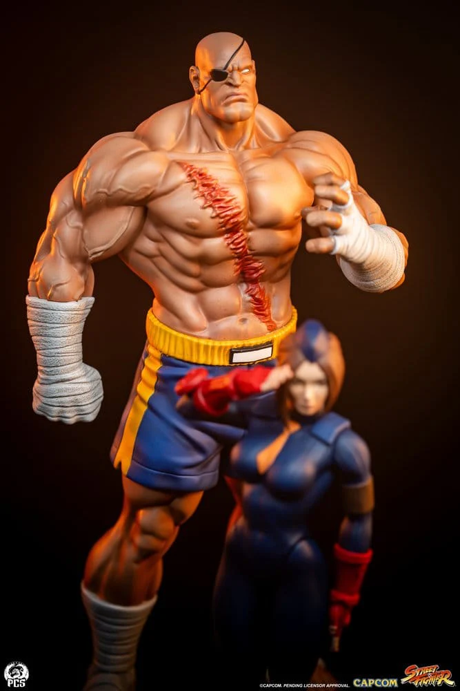 Miniatura 12