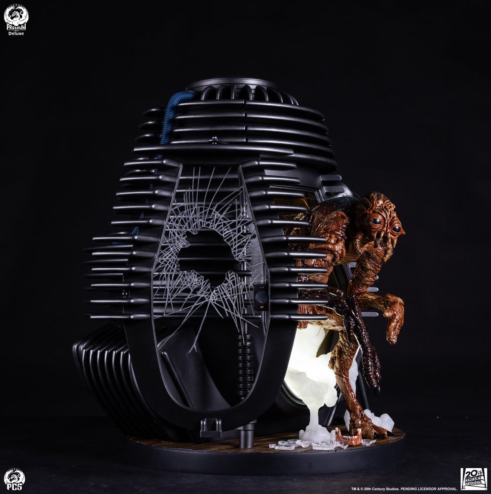Miniatura 10
