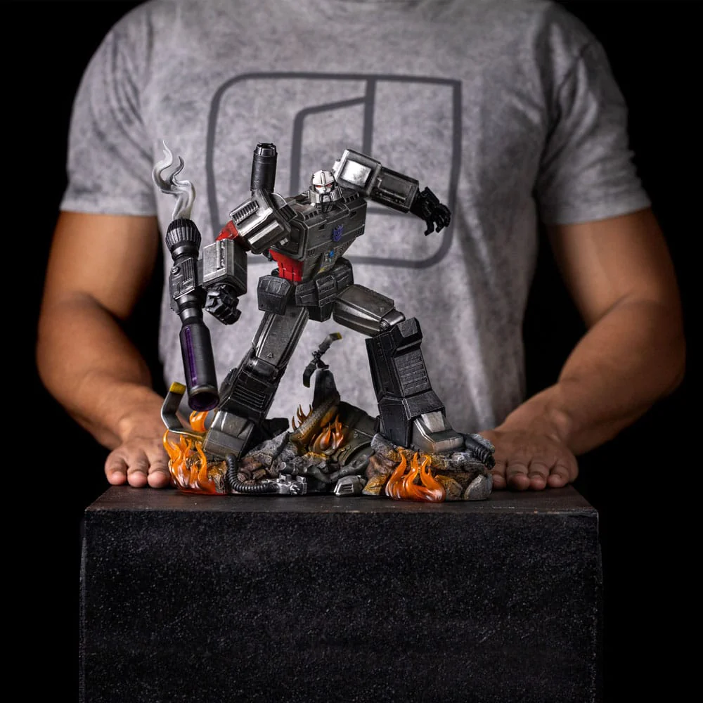 Miniatura 13