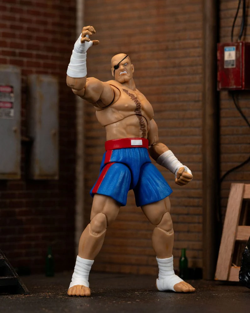 Miniatura 7