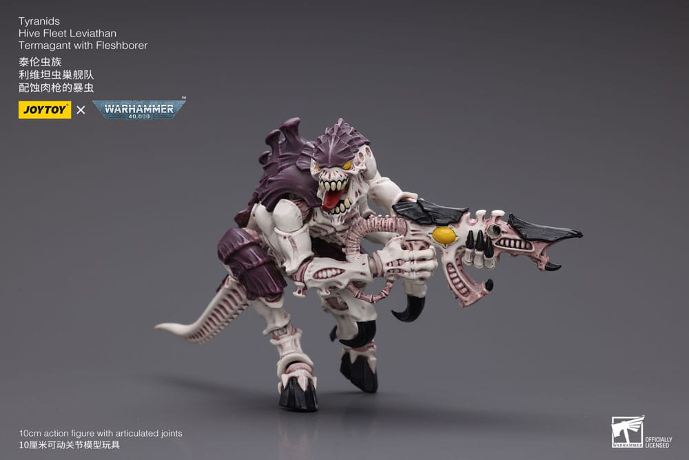 Miniatura 13