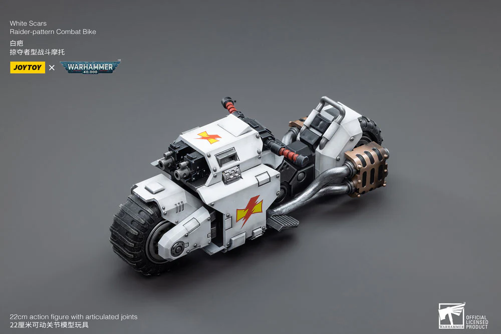 Miniatura 13