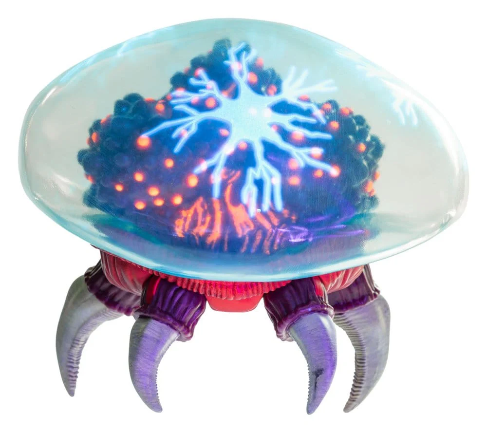 Miniatura 10
