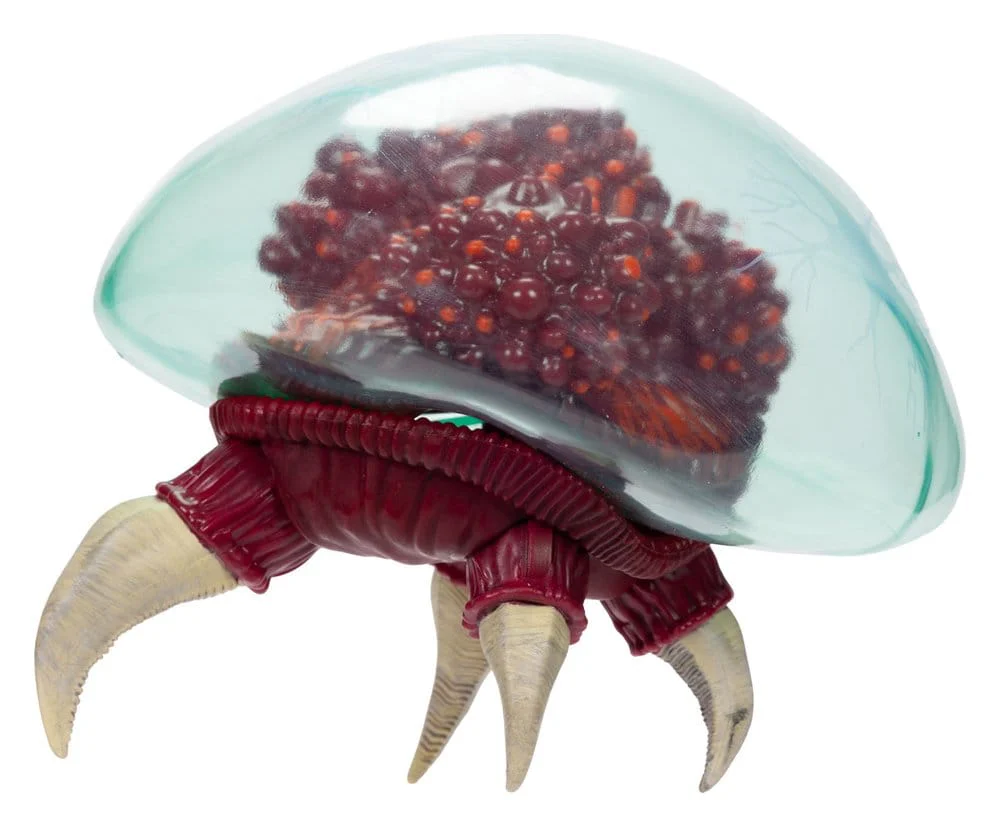 Miniatura 8