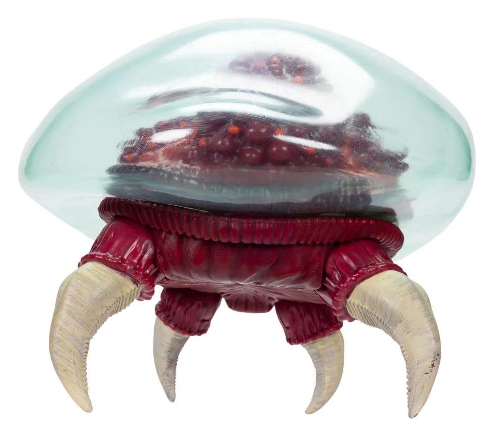 Miniatura 9